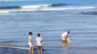 Catching fish by net on estauary.