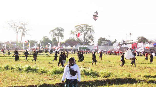 Illustration of kite festival