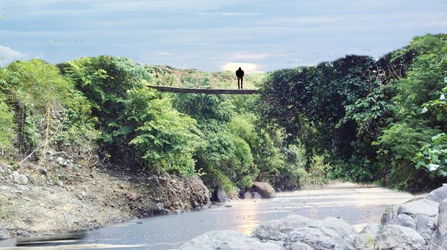 Illustration of suspension bridge