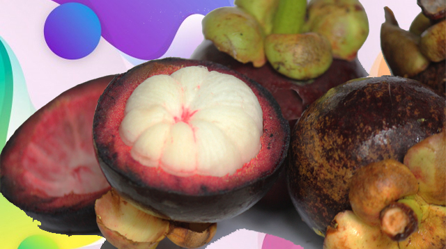 Mangosteen fruit