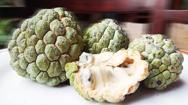 Sugar apple