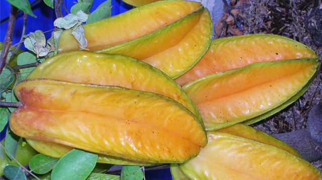 Starfruit